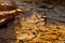 An overhead view of a natural mosaic formed by cracks in dry clay soil. Dead nature. Drought. Background and texture