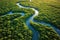 Overhead View Of A Serene Mangrove Forest And Meandering Water Channels. Generative AI