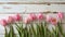 Overhead view of a springtime pink tulips on white weathered wooden boards, top view