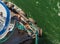 Overhead view of tugboat, ropes and workers assisting ship to dock, Alaska, USA.