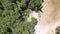 Overhead view of Tuscany countryside vegetation, Italy