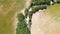 Overhead view of Tuscany countryside vegetation, Italy