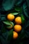 Overhead view of whole oranges, fresh produce photography