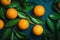 Overhead view of whole oranges, fresh produce photography