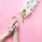 Overhead view woman hands and white flower gladiolus on pink background. Flat lay, top view