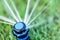 Overhead view of yard sprinkler with blurred background