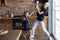 Overjoyed excited mother and daughter fighting with kitchen