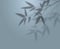Overlay shadow of bamboo branch. Leaves of plants reflection on blue background. Blured silhouette of foliage. Vector