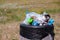 Overloaded garbage bin on a grass at city park