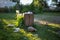 Overloaded trash bin with plastic on grass, garbage dump in public zone, environmental problem