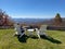 An overlook on the Blue Ridge Parkway in Boone, NC during the autumn fall color changing season