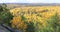 Overlook with brilliant fall color at Algonquin Provincial Park, Canada 4K