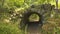 Overlook Ruins, Bostonâ€™s Franklin Park.