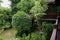 Overlook of verdant pond from second floor of old building