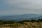 Overlooking Cades Cove From Gregory Bald