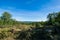 Overlooking Long Pine Reservoir in Michaux State Forest, Pennsylvania During Summer