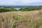 Overlooking mooers lake and grey cloud island from prairie