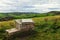 Overlooking the valley and fields towards Kimmeridge Bay, Dorset