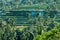 Overlooking view of an agricultural terrace plantation