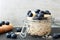 Overnight oats with blueberries and bananas, with white and black background