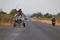 Overpacked donkeys going to the market