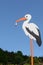 Oversized birth stork wooden