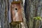 Overstuffed and Overflowing Birdhouse