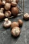 Overturned basket with fresh mushrooms on grey table