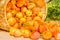 Overturned basket of ripe apricots, close up
