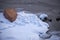 An overturned boat lies on the ice near the river bank. Altai winter landscape with the river Biya. Water runs among the snow-