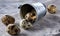 Overturned decorative bucket filled with quail eggs on napkin over white textured background, close-up, selective focus.