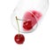 Overturned glass of delicious cherry wine and ripe juicy berries isolated on white