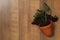 Overturned terracotta flower pot with soil and plant on background, flat lay. Space for text