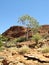 Overview of the Australian Kings Canyon