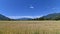 Overview of the countryside in late summer