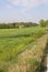 overview in the countryside of the Po Valley