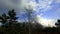 Overview of a Forest with Cloudy - Italy