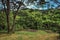 Overview of forest, hills and a big flat rock near the town of JoanÃ³polis.