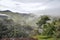 Overview of Forest and hills shrouded by mist and clouds near the town of JoanÃ³polis.