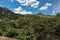 Overview of Forest and hills in a warm sunny day near the town of JoanÃ³polis.