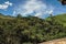 Overview of Forest and hills in a warm sunny day near the town of JoanÃ³polis.