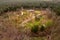 Overview from a height of 80 metres over the HÃ¶sseringen open-air museum in the LÃ¼nebÃ¼rger Heide near Suderburg