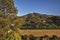 Overview of hills with woods and house in the sunrise, near Monte Alegre do Sul.