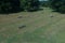 Overview of La Cambe German war cemetery, Normandy, France