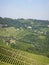 Overview of the Langhe hills, Piedmont - Italy