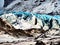 Overview over the vatnajokull glacier