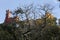 Overview of Pena National Palace in Sintra