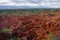 Overview Red sand stone formation of Tatacoa