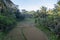 Overview of a rice field surrounded by palm trees in Indonesia