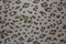 Overview of spotty white fabric with textile texture background
